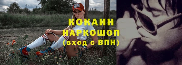 ПСИЛОЦИБИНОВЫЕ ГРИБЫ Заводоуковск